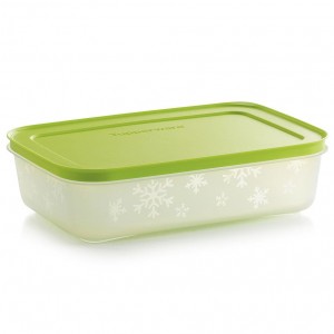 Tupperware Freezer Mates Plus Medium Shallow | HEO-607284