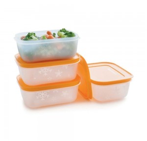 Tupperware Freezer Mates Plus Small Shallows | DZW-107485