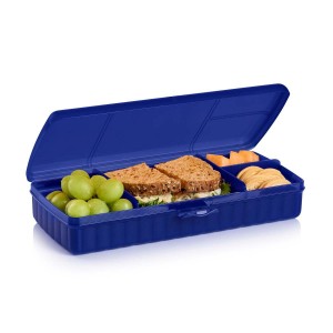 Tupperware Lunch 'N Things Container Blue | SOU-635847