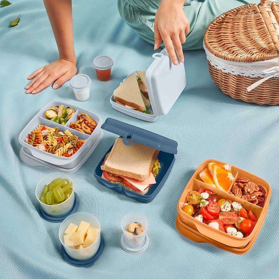 Tupperware Eco+ Sandwich Keepers White / Blue | SUT-673250