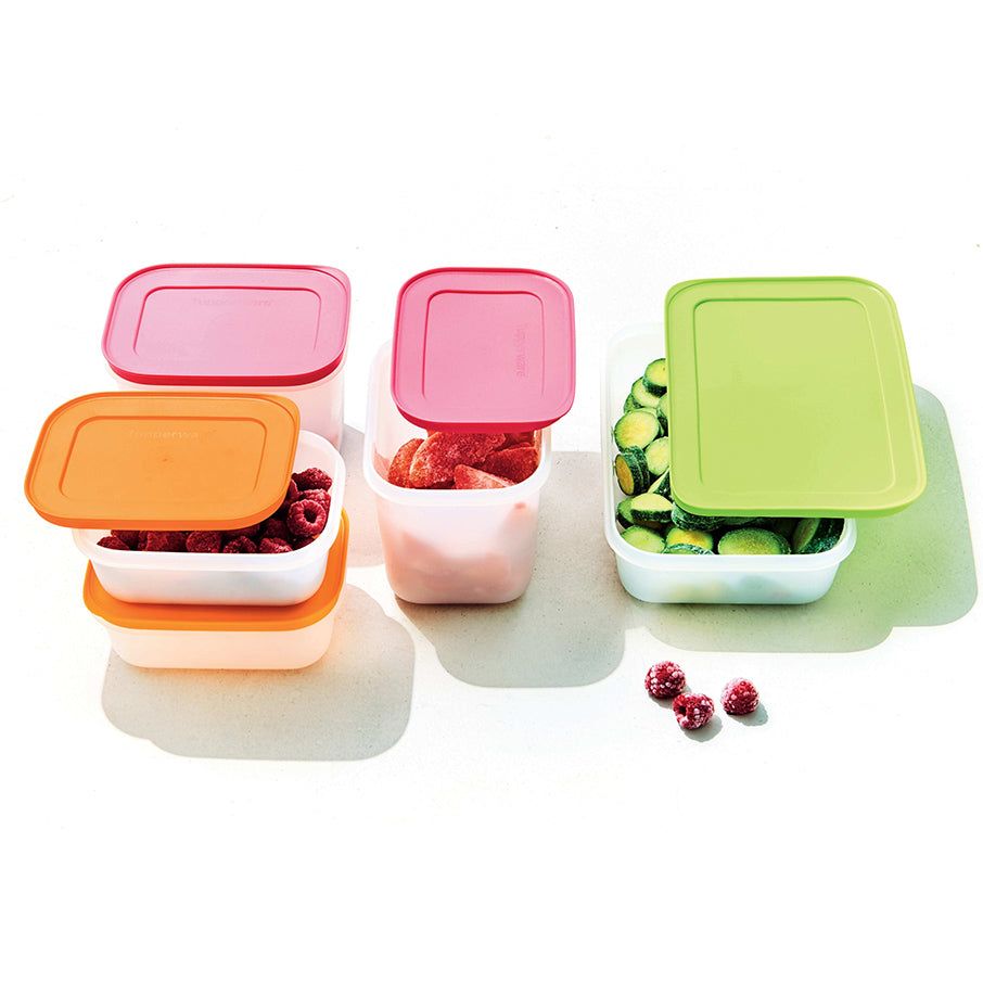 Tupperware Freezer Mates Plus Medium Shallow | HEO-607284