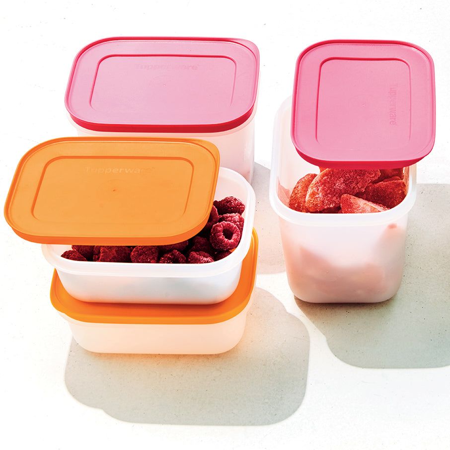 Tupperware Freezer Mates Plus Small Shallows | DZW-107485