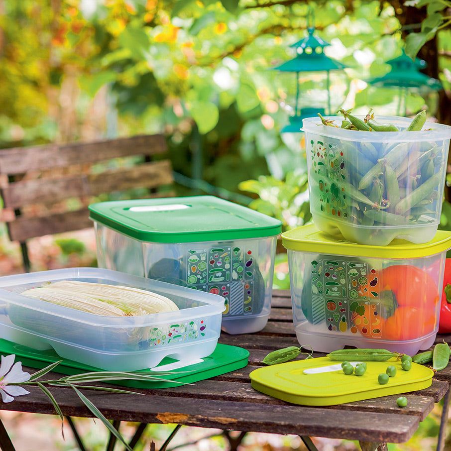 Tupperware Fridgesmart 4-pc. Starter Set Green / Deep | VLM-970215