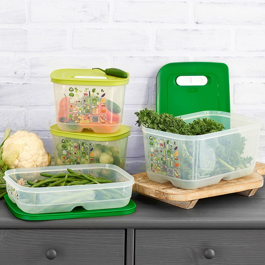 Tupperware Fridgesmart 4-pc. Starter Set Green / Deep | VLM-970215