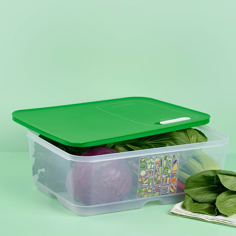 Tupperware Fridgesmart Extra Large Lettuce Leaf | PJT-754308