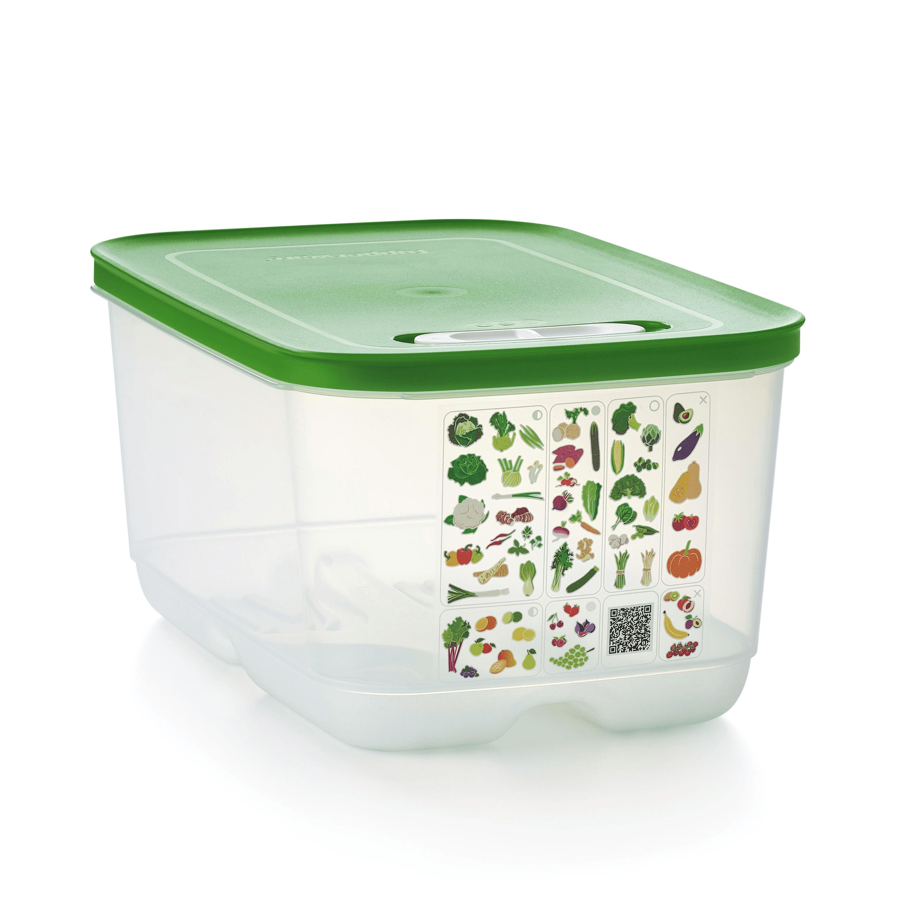 Tupperware Fridgesmart Medium Deep Green | ZXY-647352