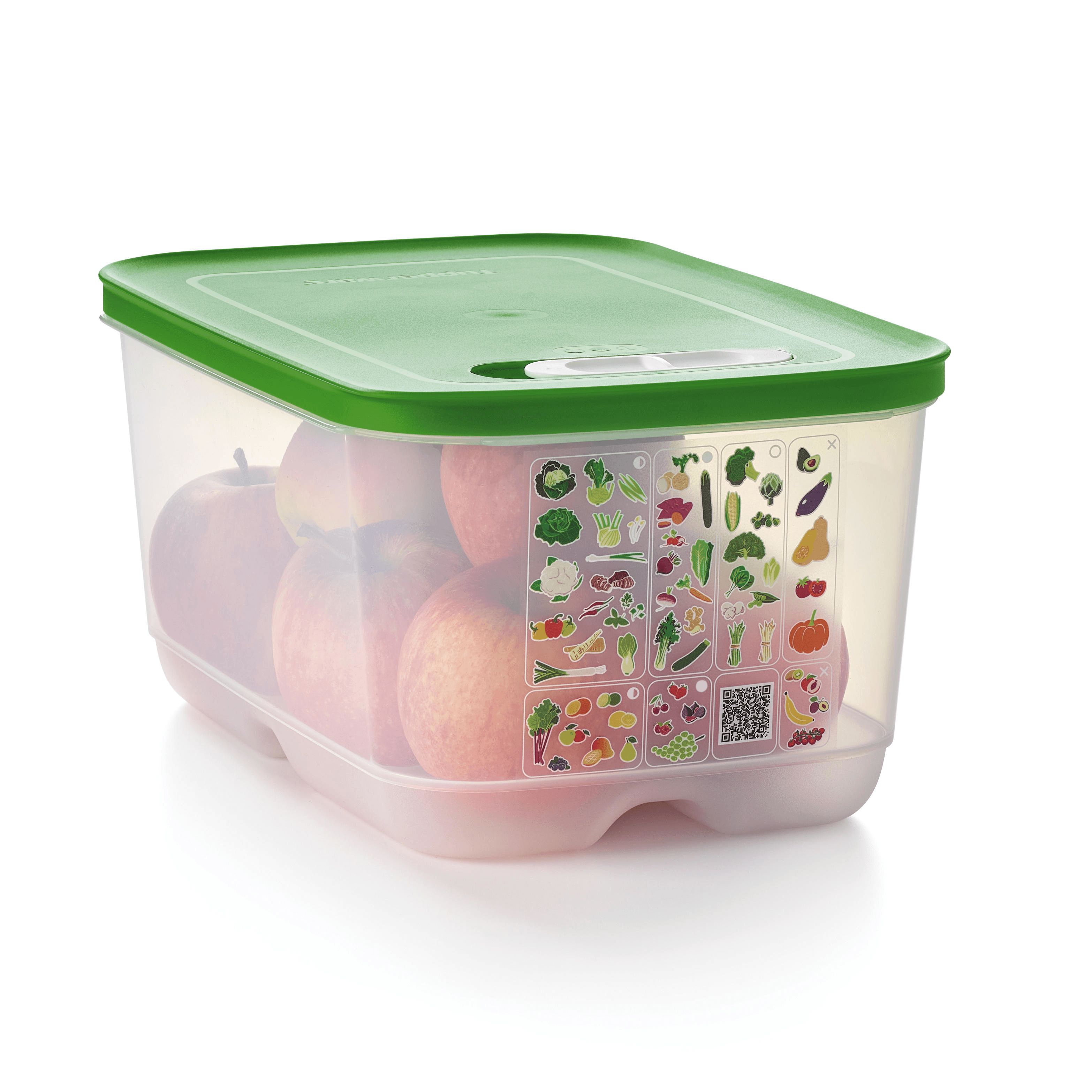 Tupperware Fridgesmart Medium Deep Green | ZXY-647352