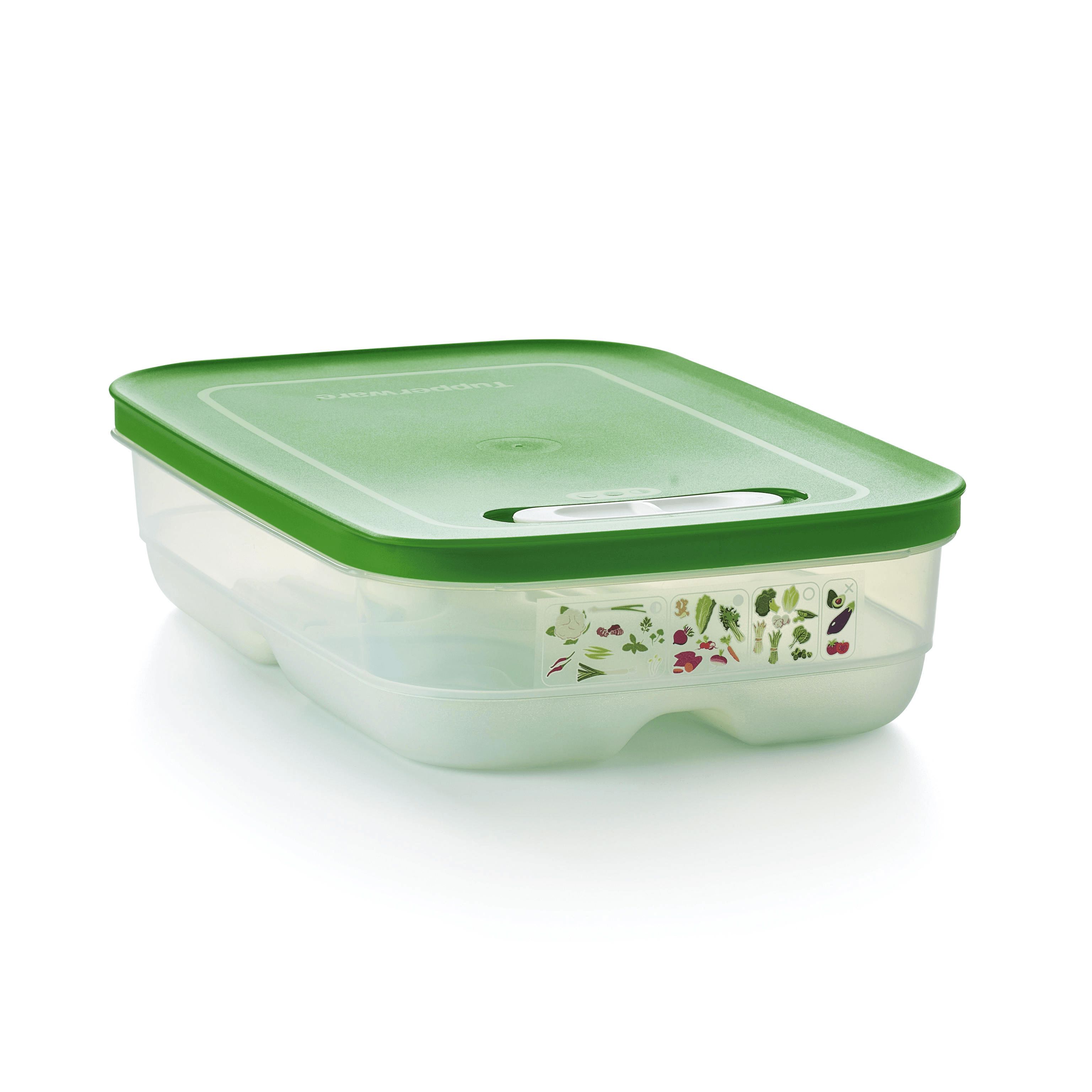 Tupperware Fridgesmart Medium Green | NWY-627594