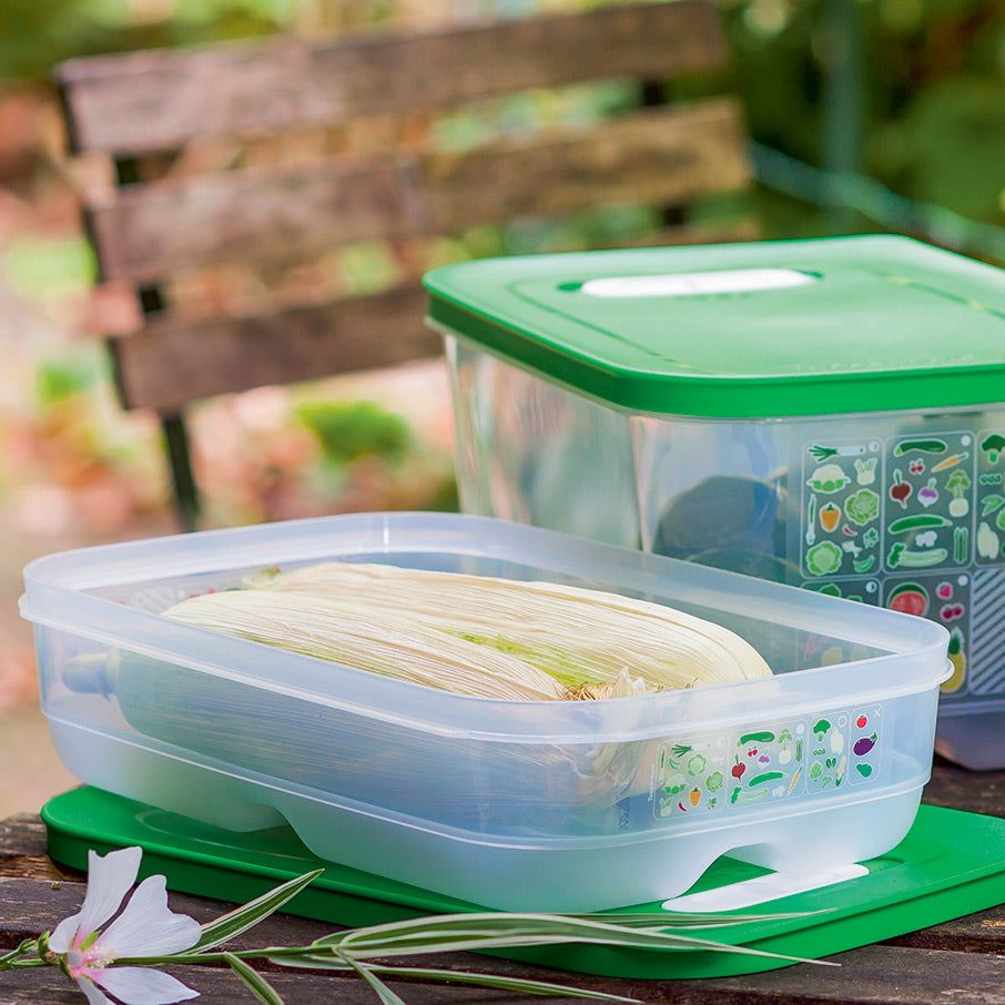 Tupperware Fridgesmart Medium Green | NWY-627594