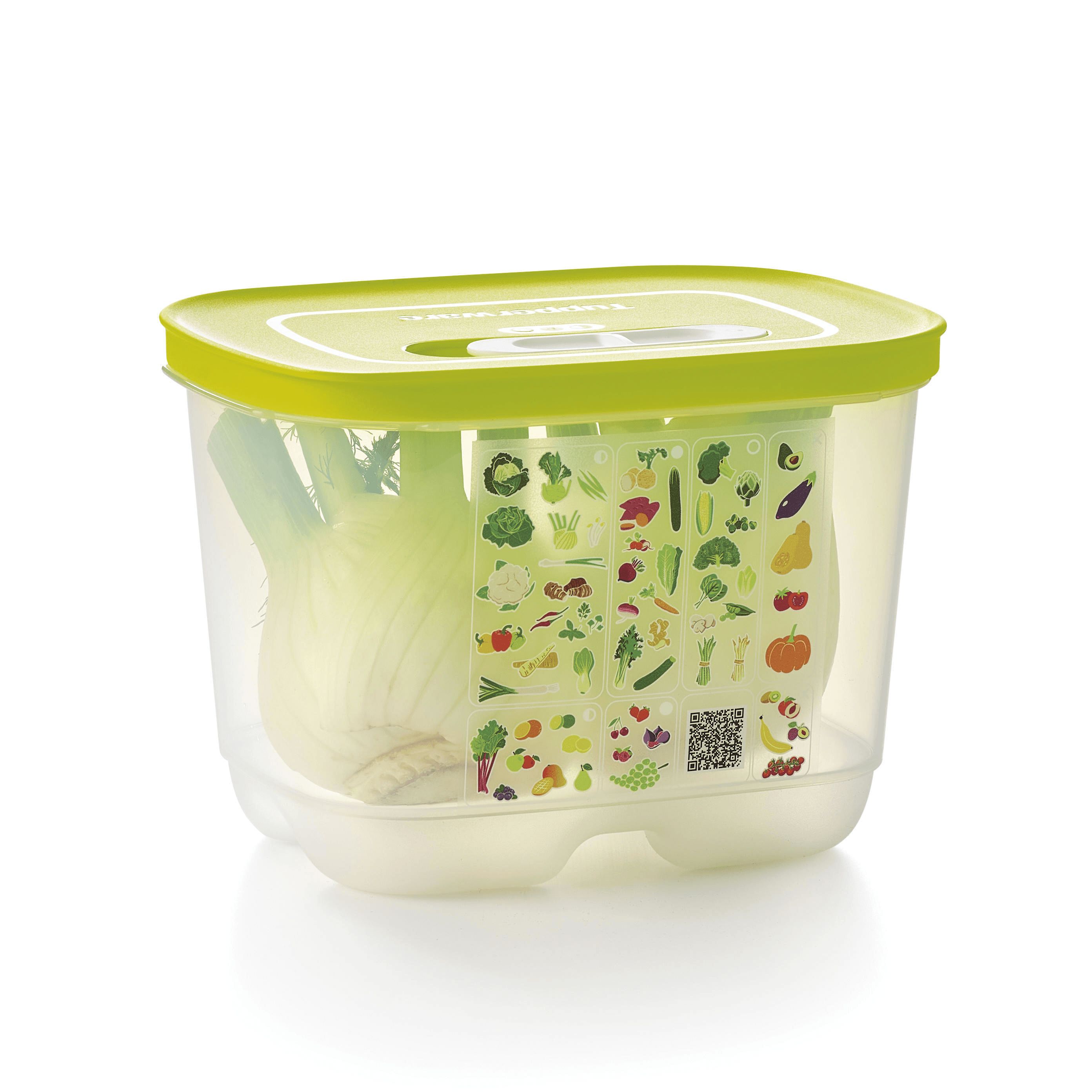 Tupperware Fridgesmart Small Deep | CSA-572041