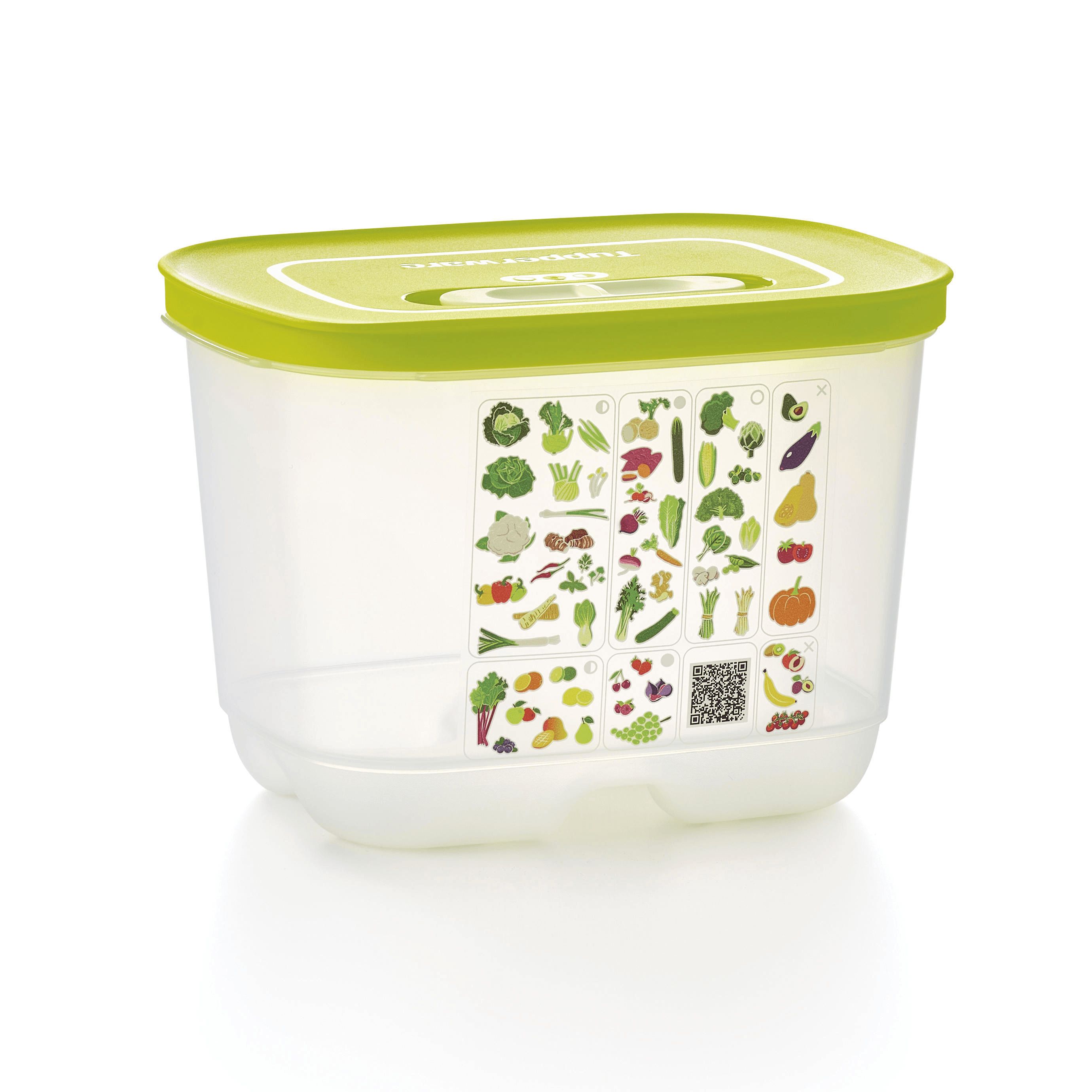 Tupperware Fridgesmart Small Deep | CSA-572041