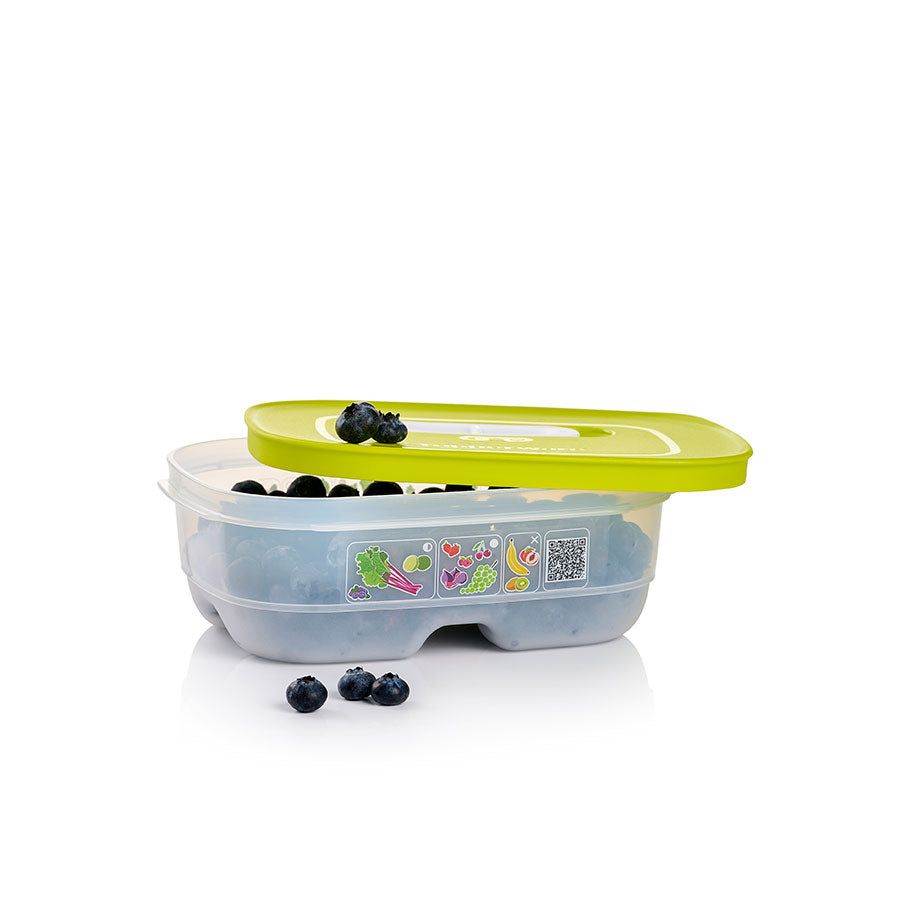 Tupperware Fridgesmart Small Margarita | XMR-780925