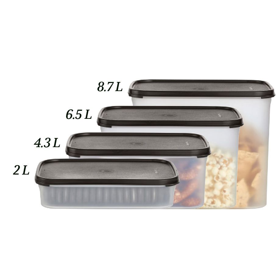 Tupperware Modular Mates Rectangular 2 | UMQ-612458