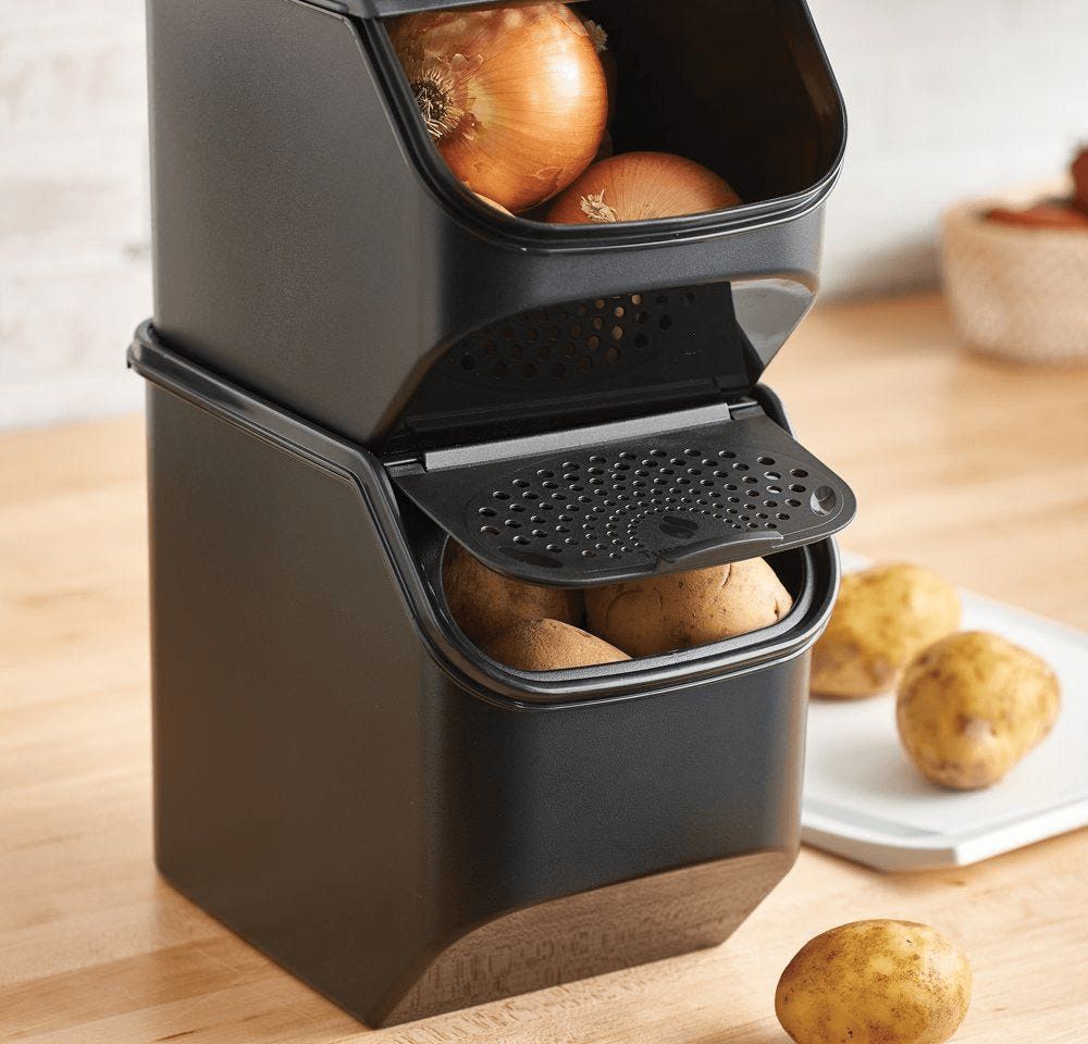 Tupperware Potato Smart Container Black | ZUJ-475692