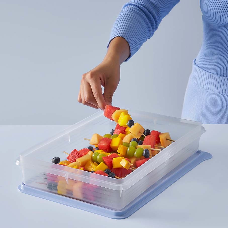 Tupperware Snack-stor Large Container Ice Cube | KAR-426571