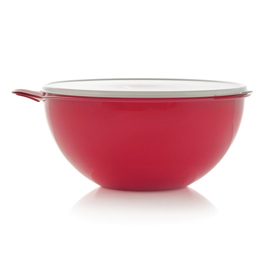 Tupperware Thatsa Bowl Passion | NGK-861035