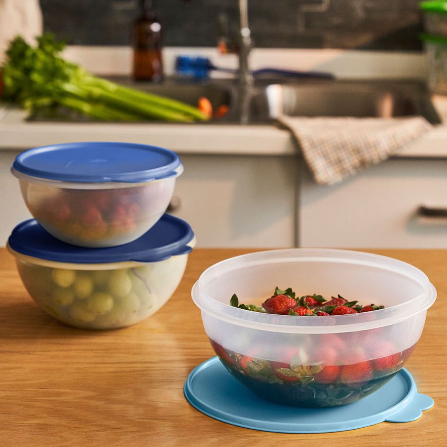 Tupperware Wonderlier Bowl 3-pc. Set sIce Cube | SNE-271583